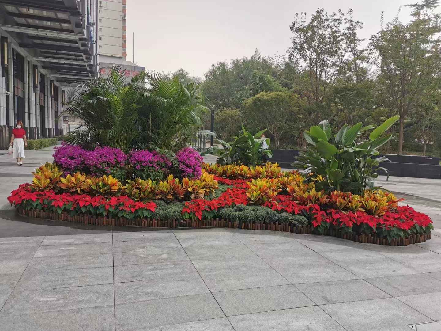 綠植花卉租擺擺放